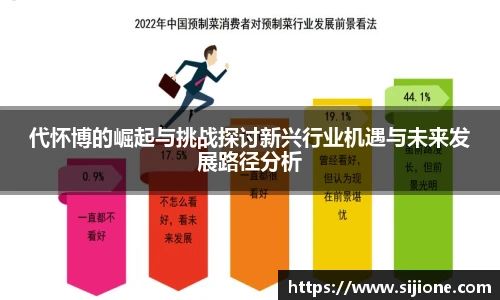 代怀博的崛起与挑战探讨新兴行业机遇与未来发展路径分析